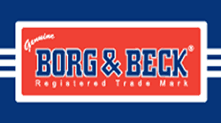 BORG AND BERK