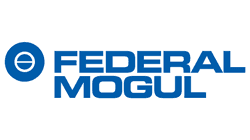 FEDERAL-MOGUL